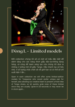 DÒNG L - LIMITED MODELS